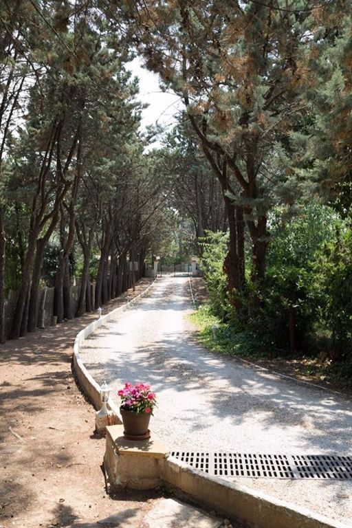 Propriété LES ARCS (83460) LES CLES DU VAR